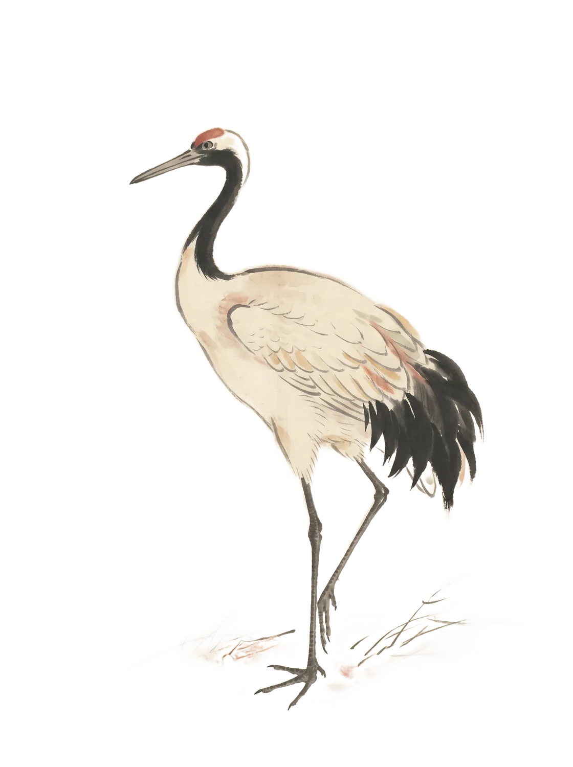 Ink-wash study of a red-crowned crane